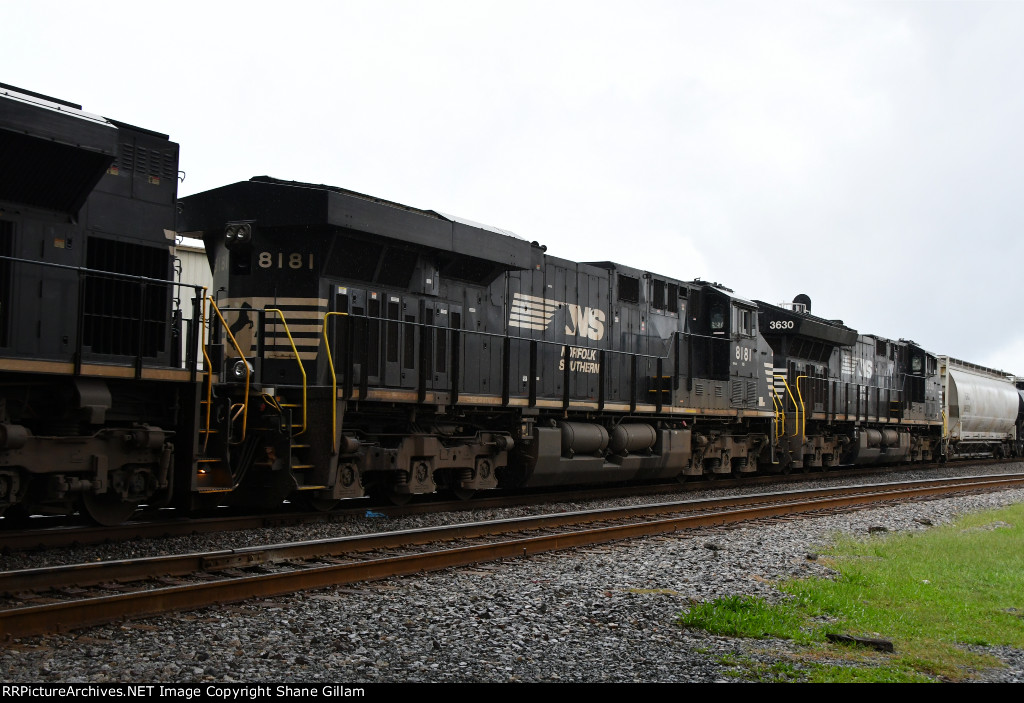 NS 8181 Roster shot.